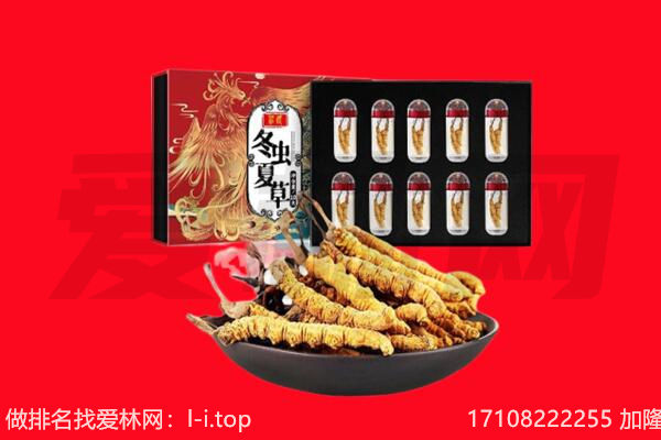 台湾桃园市回收虫草.jpg